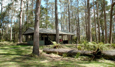 Thungutti Campground - Accommodation QLD 1