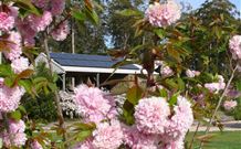 Tyrra Cottage Bed And Breakfast - Accommodation QLD 2