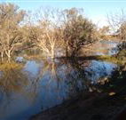 Warrawong on the Darling - Accommodation QLD