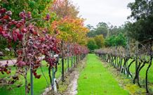 Peppers Convent Hunter Valley - Accommodation QLD 4