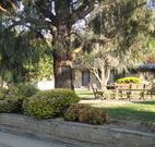 Hamilton Hume Motor Inn - Yass - Accommodation QLD