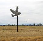 Gulargambone Hotel - Gulargambone - Accommodation QLD