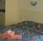 Narrabri Motel and Caravan Park - Narrabri - Accommodation QLD