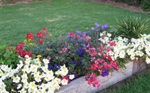 Narromine Tourist Park And Motel - Narromine - Accommodation QLD 1