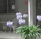 Pine Lodge Motel - Woolgoolga - Accommodation QLD