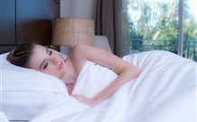 Remington Motor Inn - Muswellbrook - Accommodation QLD 0