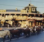 The Commercial Hotel Coonamble - Coonamble - Accommodation QLD