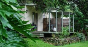 Mt Warning Rainforest Park - Accommodation QLD 6