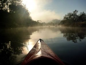 Nymboida Canoe Centre - Accommodation QLD 4