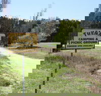 Tuena Camping and Picnic Ground - Accommodation QLD