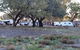 Four Mile Camping Reserve - thumb 2