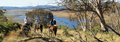Reynella Homestead And Horseback Rides - Accommodation QLD 3