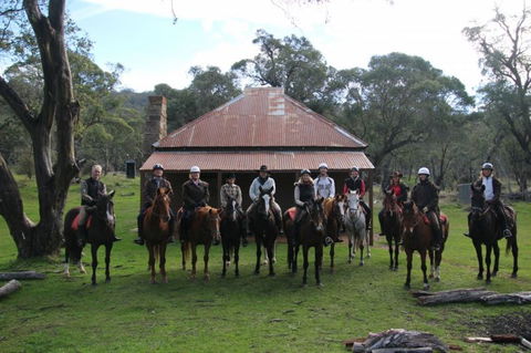 Reynella Homestead And Horseback Rides - Accommodation QLD 4