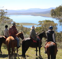 Reynella Homestead and Horseback Rides - Accommodation QLD