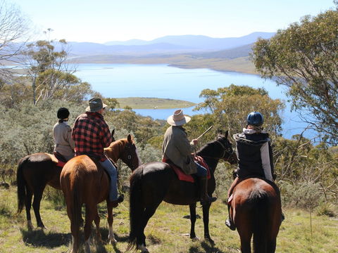 Reynella Homestead And Horseback Rides - Accommodation QLD 0