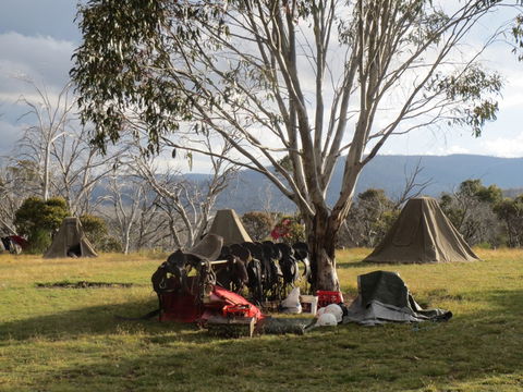 Reynella Homestead And Horseback Rides - Accommodation QLD 1
