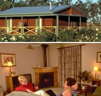 Twin Trees Country Cottages - Accommodation QLD