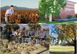 Southern Cross Motor Inn - Accommodation QLD 0