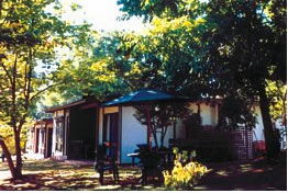 Forest Lodge - Accommodation QLD 0