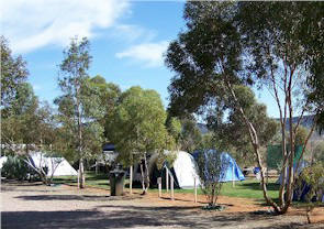 Flinders Ranges Caravan Park - Accommodation QLD 2