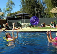 Kingston On Murray Caravan Park - Accommodation QLD