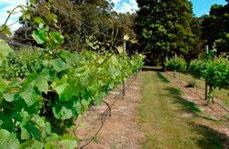 Between The Bays Retreat - Accommodation QLD 2
