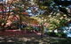 Kubba Roonga Blackheath - thumb 4