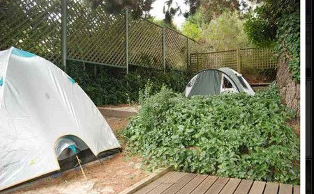 The Flying Fox Backpackers - Accommodation QLD 2