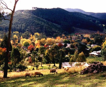 Goldfields Holiday Units - Accommodation QLD 1