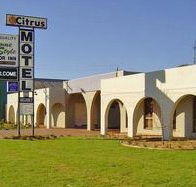 Citrus Motel - Accommodation QLD