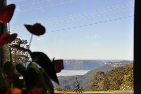 Jamison House And The Rooster Restaurant - Accommodation QLD 1