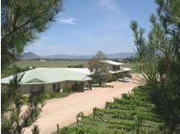 Mudgee Vineyard Motor Inn - Accommodation QLD 1