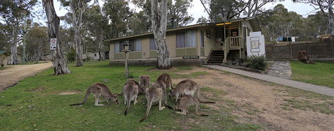 Kosciuszko Tourist Park - Accommodation QLD 5