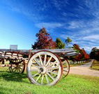 The Oaks Ranch and Country Club - Mossy Point - Accommodation QLD