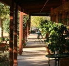 The Vineyard Motel - Cowra - Accommodation QLD
