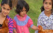 Barrington Tops Organic Retreat - Accommodation QLD 2