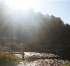 Blair Athol Estate - Accommodation QLD