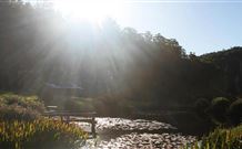 Blair Athol Estate - Accommodation QLD 0