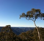 Coach Cottage - Accommodation QLD