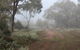 Heritage Park Bathurst - thumb 0