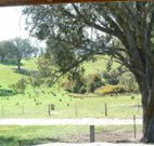 Hosanna Farm Retreat - Accommodation QLD