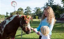 Mogendoura Farm - Accommodation QLD 7