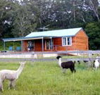 Moorallie Cottage Farm Stay - Accommodation QLD