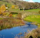 Ralda's Cottage - Accommodation QLD