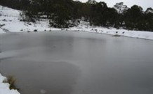 Savernake Farm Stay - Accommodation QLD 1