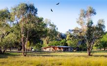 Starline Alpaca Farm Stay - Accommodation QLD 2