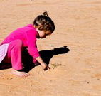 Stony Creek Farm B and B - Accommodation QLD