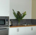 Toolond Plantation - Accommodation QLD
