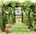 All Saints Bed and Breakfast - Accommodation QLD