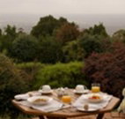 Barefoot Springs Bed and Breakfast - Accommodation QLD